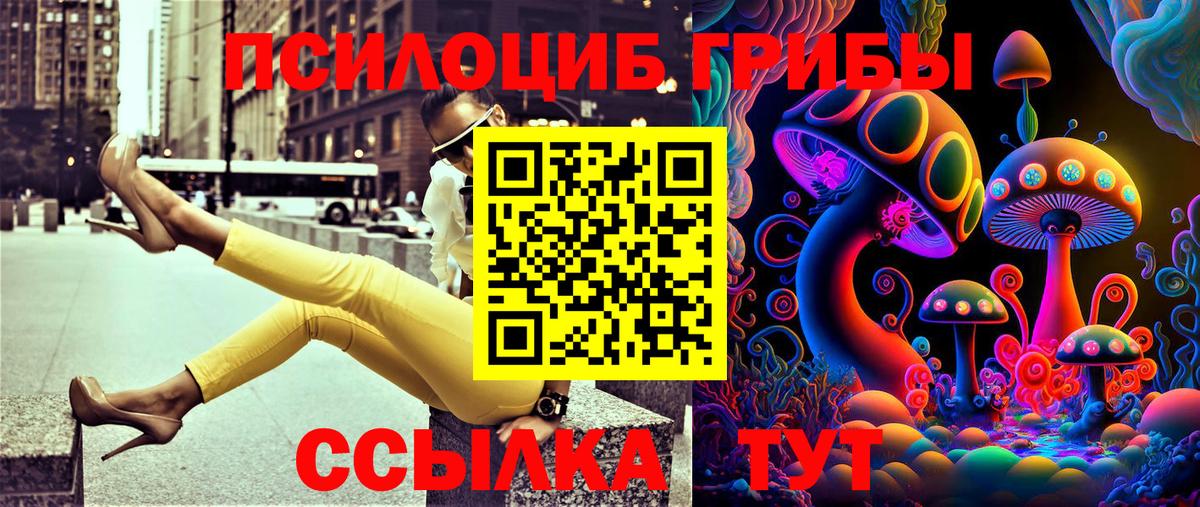 Псилоцибиновые грибы мицелий  Вход с VPN  Выборг 